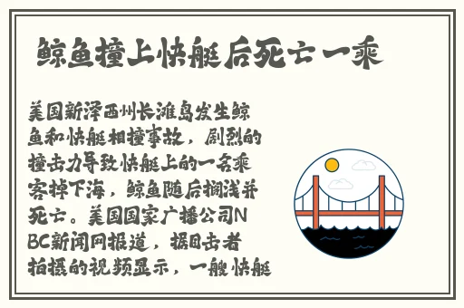 美哒哒影院